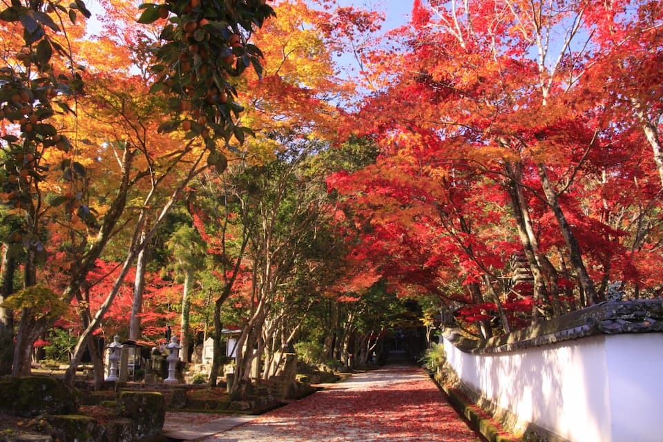 西林寺