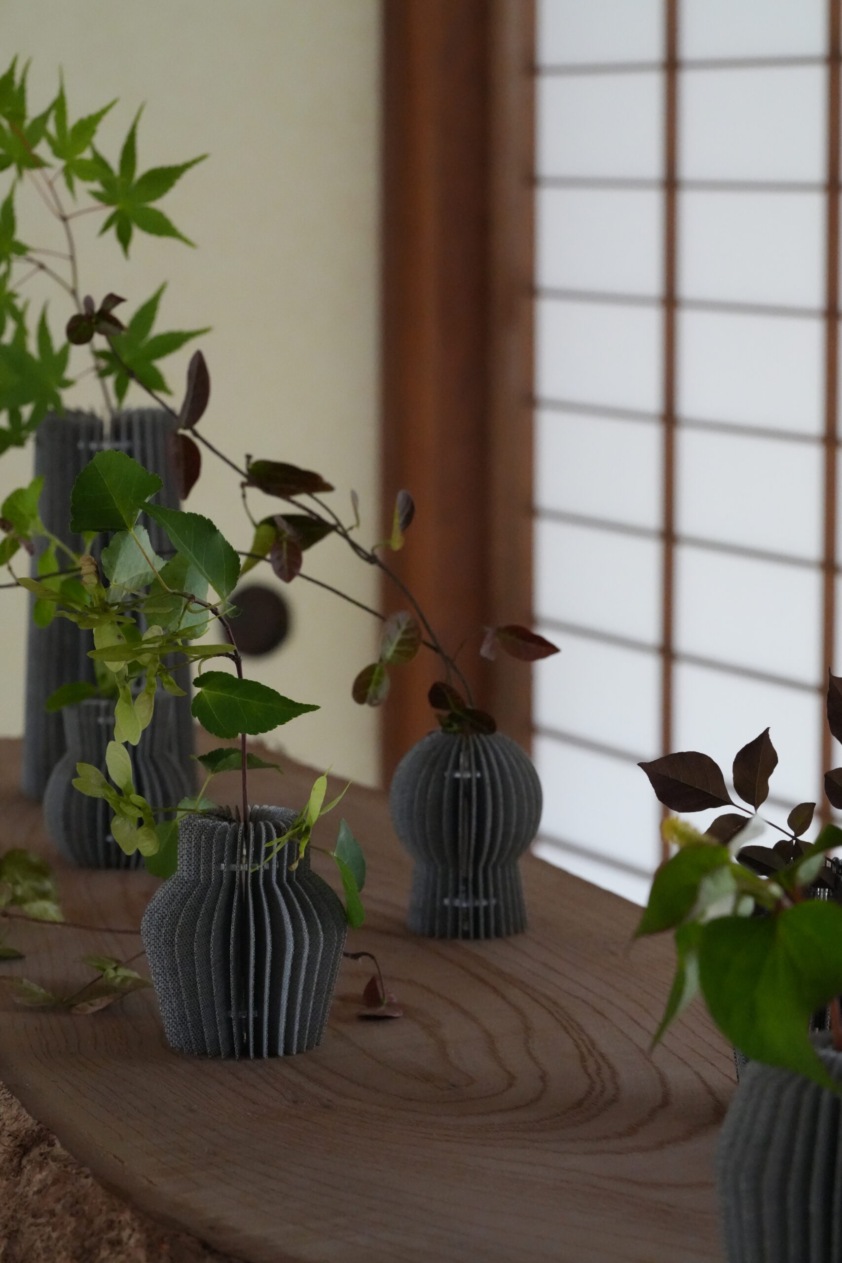 https://moppen.jp/2026/wp-content/uploads/2026/09/DSC03396-scaled-1.jpeg