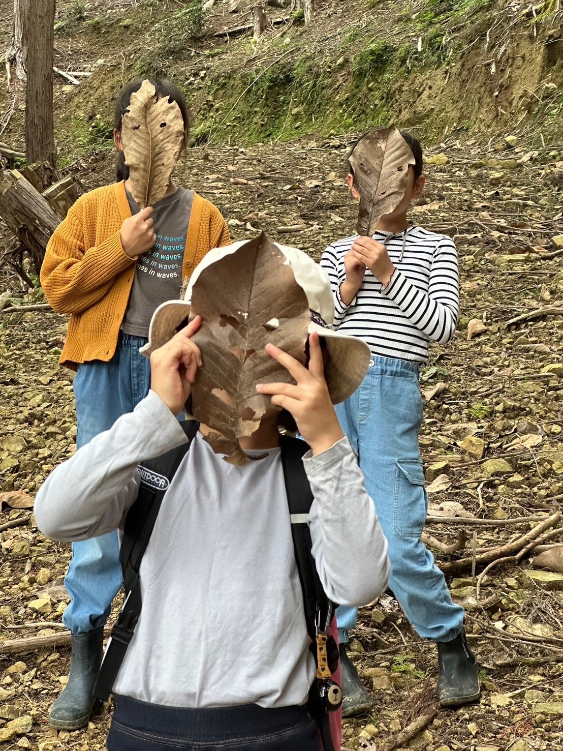 https://moppen.jp/2026/wp-content/uploads/2026/09/S__94273545_0.jpg