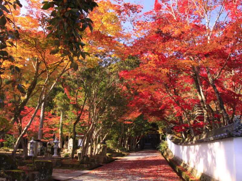 西林寺